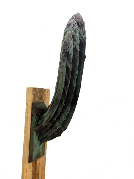 Saguaro Cactus Arm