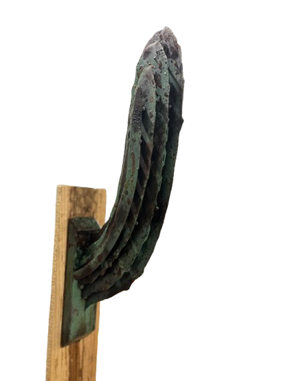 Saguaro Cactus Arm
