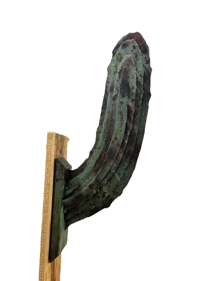 Saguaro Cactus Arm