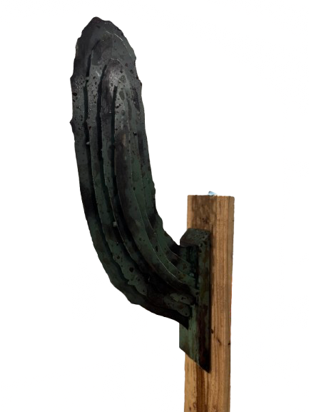 Saguaro Cactus Arm