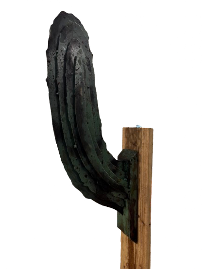 Saguaro Cactus Arm