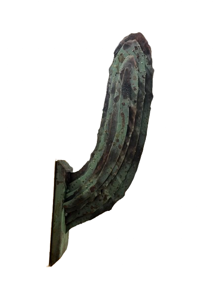 Saguaro Cactus Arm