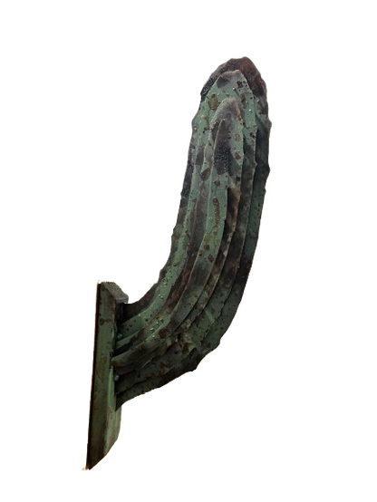 Saguaro Cactus Arm